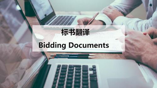 標書翻譯服務 專業(yè)助力企業(yè)競標國際化
